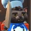 Chef.Cat
