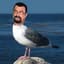 Steven Seagull