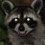 MoonGoonRaccoon