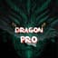 dragonpro531
