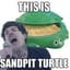 SandPitTurtle