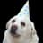 PartyHatDogger