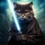 Mr_JediCat