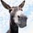 Big Donkey