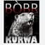 Krwa Bobr