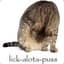 lick-alotta-puss