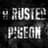 A Rusted Pigeon