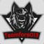 Teamfors