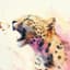 SmellyLeopard