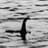 The Lochness Monster