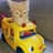 Meowgic Cat Bus