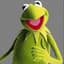 Kermit24