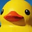 ducky