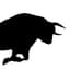 Bull