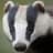 Badger