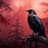 RavenMoon