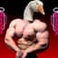 JuicinGoose..
