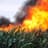 BurningCorn