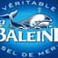 Sel La Baleine