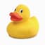 A Rubber Duck