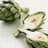 Artichoke