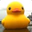 DUCKFACE