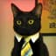 business cat