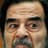 Slobbin Saddam