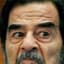 Slobbin Saddam