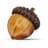 Acorn