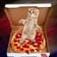 Pizza Pussy