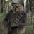 BushWookie