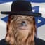 Jewbacca