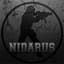 [PBS] Nidarus