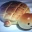 bread turtle