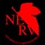 NeRV