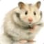 Hamster3001