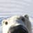Polar_Bear_Ninja