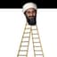 Osama_bin-ladder