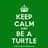 Turtlekingmaster