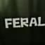 Feral