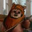 Ewok