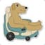 Wheelchair Dog