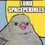 Lord SpacePekinees