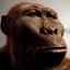 Australopithecus Africanus [HM]