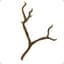 Twig