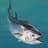 Big Tuna