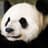 panda_uk