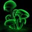 Green Glowing Mushroom