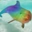 rainbow dolphin